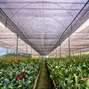 Tela Sombreamento 50% Sombrite 2,00 x 50 metros Horta Sombra